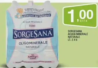 Sigma Sorgesana - acqua minerale naturale offerta
