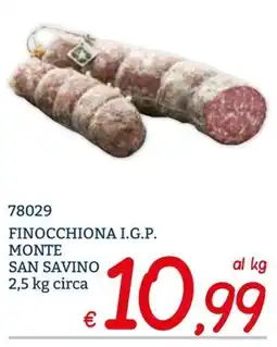 Zona Finocchiona I.G.P. Monte San Savino offerta
