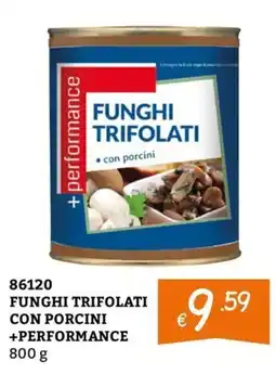 Zona Funghi trifolati con porcini +performance offerta