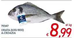 Zona Orata Cromaris offerta