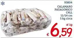 Zona Calamaro Patagonico C4LL offerta