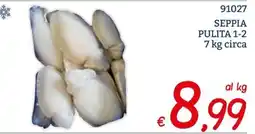Zona Seppia pulita offerta