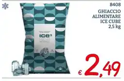 Zona Ghiaccio alimentare Ice Cube offerta