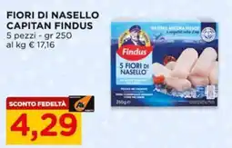 Alì Supermercati Fiori di nasello Findus offerta