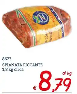 Zona Spianata piccante offerta