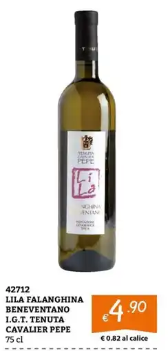 Zona Lila Falanghina Beneventano offerta