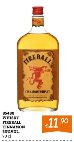 Zona Whisky Fireball Cinnamon offerta