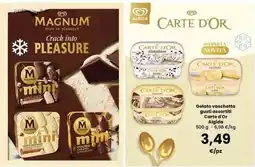 Interspar Gelato vaschetta gusti assortiti Carte d'Or Algida offerta
