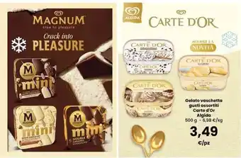 Gelato vaschetta gusti assortiti Carte d'Or Algida