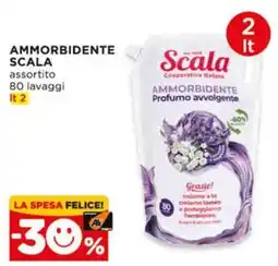 Alì Supermercati Ammorbidente Scala assortito offerta