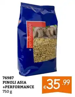 Zona Pinoli Asia +Performance offerta