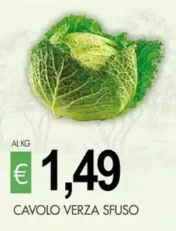 PrestoFresco Cavolo Verza Sfuso offerta