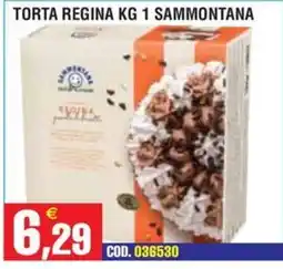 Immenso Cash Torta Regina Sammontana offerta