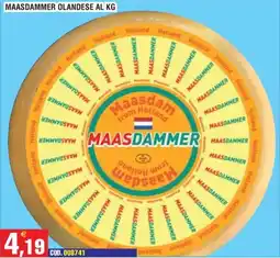 Immenso Cash Maasdammer Olandese offerta