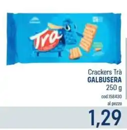 Talento Professional Store Crackers Trà Galbusera offerta