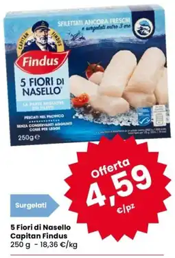 Despar 5 Fiori di Nasello Capitan Findus offerta