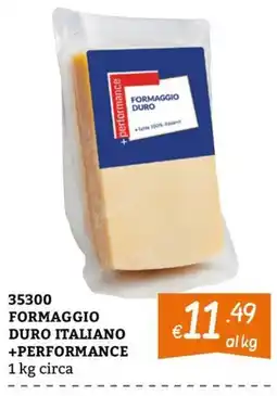 Zona Formaggio duro italiano +performance offerta
