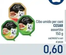 Talento Professional Store Cibo umido per cani Cesar offerta