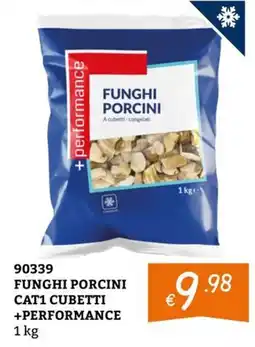 Zona Funghi porcini +performance offerta