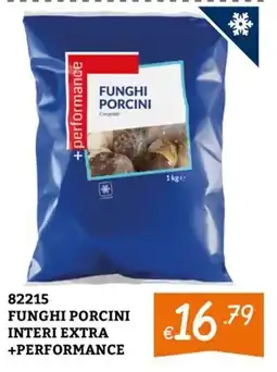 Zona Funghi porcini +performance offerta
