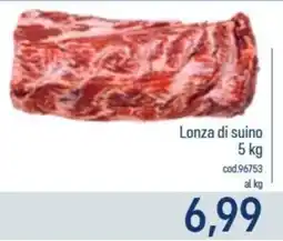 Talento Professional Store Lonza di suino offerta