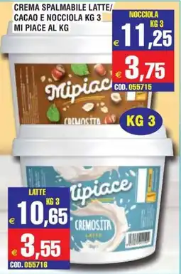 Immenso Cash Crema spalmabile latte/cacao e nocciola Mipiac offerta