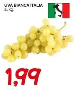 Hardis Uva bianca Italia offerta
