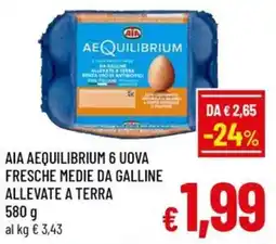 A&O AIA AEQUILIBRIUM 6 UOVA FRESCHE MEDIE DA GALLINE ALLEVATE A TERRA offerta