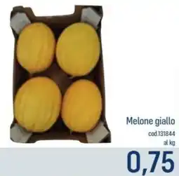 Talento Professional Store Melone giallo offerta