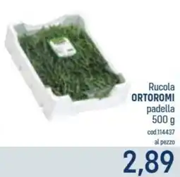 Talento Professional Store Rucola ORTOROMI offerta
