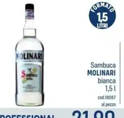 Talento Professional Store Sambuca bianca Molinari offerta