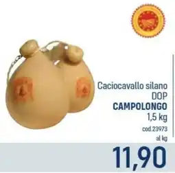 Talento Professional Store Caciocavallo silano DOP Campolongo offerta