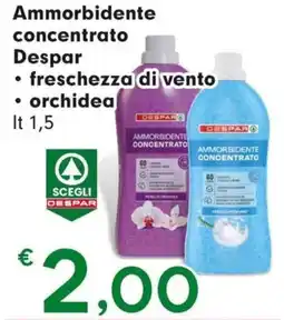 DeSpar Express Ammorbidente concentrato Despar offerta