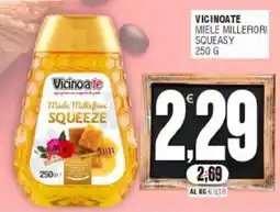 Vicino a te supermercati Vicinoate Miele Millefiori Squeeze offerta