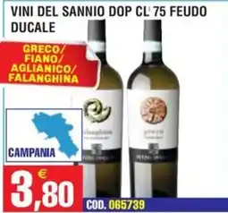 Immenso Cash Vini del Sannio DOP Feudo Ducale offerta
