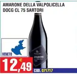 Immenso Cash Amarone della Valpolicella DOCG Sartori offerta