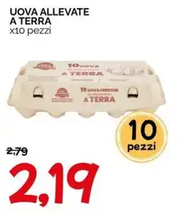 Hardis Uova allevate a terra offerta