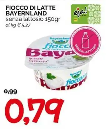 Fiocco di latte Bayernland senza lattosio