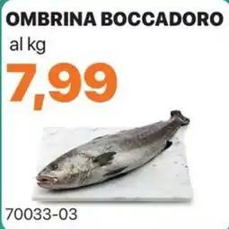 GrosMarket Ombrina boccadoro offerta