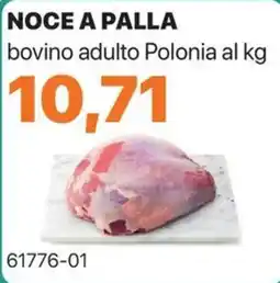 GrosMarket Noce a palla bovino adulto Polonia offerta