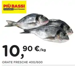 Orvea Orate fresche offerta