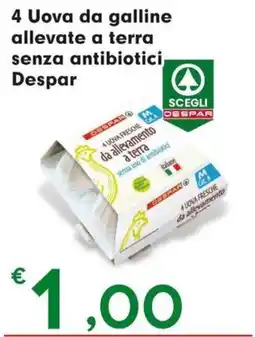 DeSpar Express Uova da galline allevate a terra senza antibiotici Despar offerta