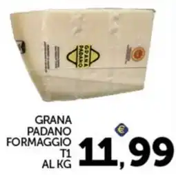 Italcash Cash & Carry Grana Padano Formaggio T1 offerta