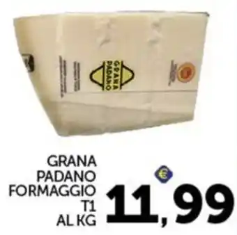 Grana Padano Formaggio T1