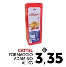 Italcash Cash & Carry Formaggio Adamino offerta