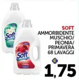 Italcash Cash & Carry Soft ammorbidente offerta