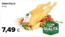 Tigre Gran pollo offerta