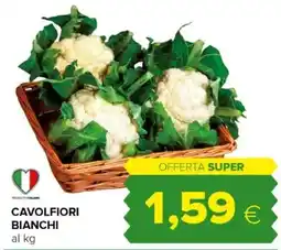 Tigre Cavolfiori bianchi offerta