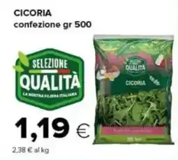 Tigre Cicoria offerta