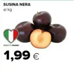 Tigre Susina Nera offerta